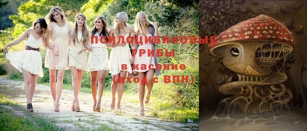стаф Горняк