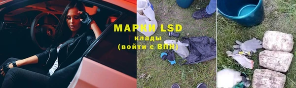 стаф Горняк