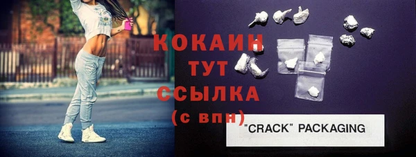 стаф Горняк
