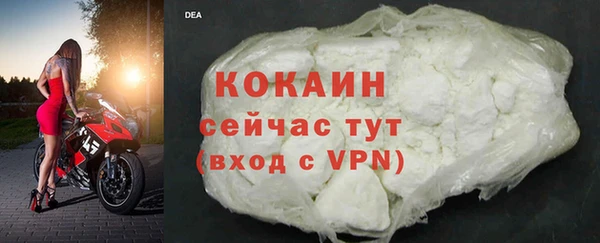 стаф Горняк