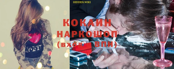 стаф Горняк