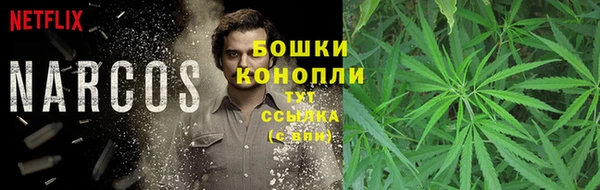 кристаллы Горнозаводск