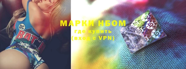 стаф Горняк