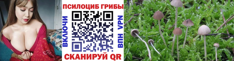 цены   Уфа  Псилоцибиновые грибы ЛСД 